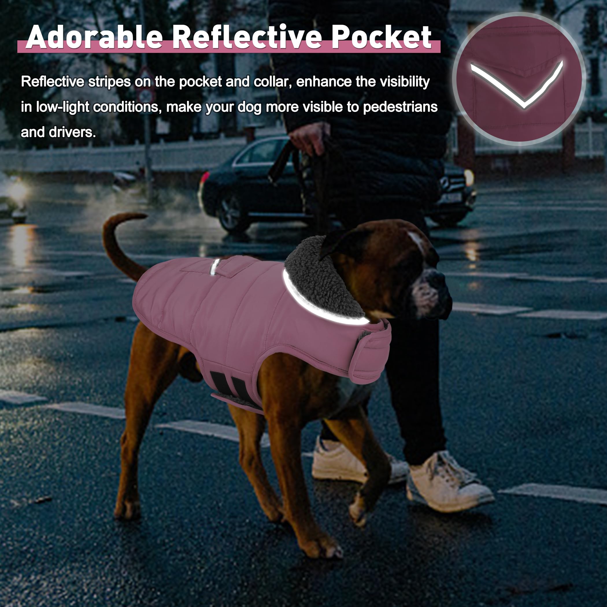 Petglad Dog Coat Adjustable Chest and Neck for secure fit