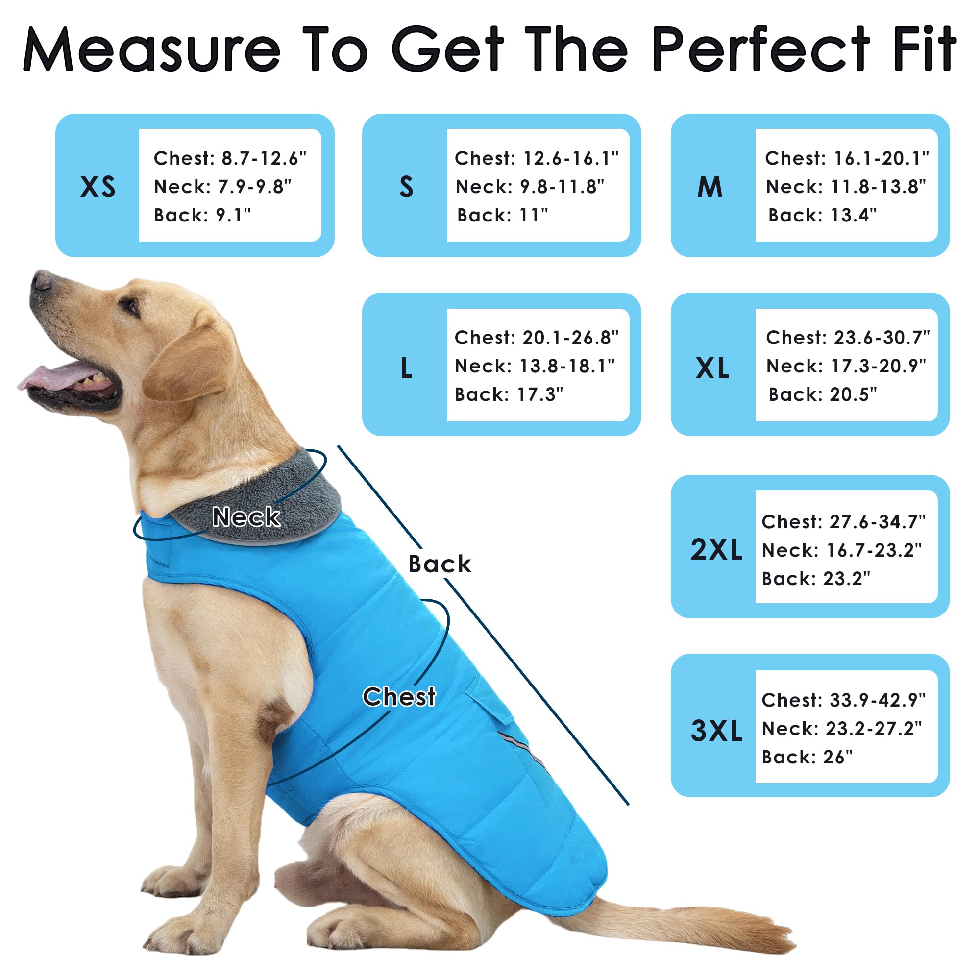 Petglad dog coat adjustable strap ensures a snug, secure fit