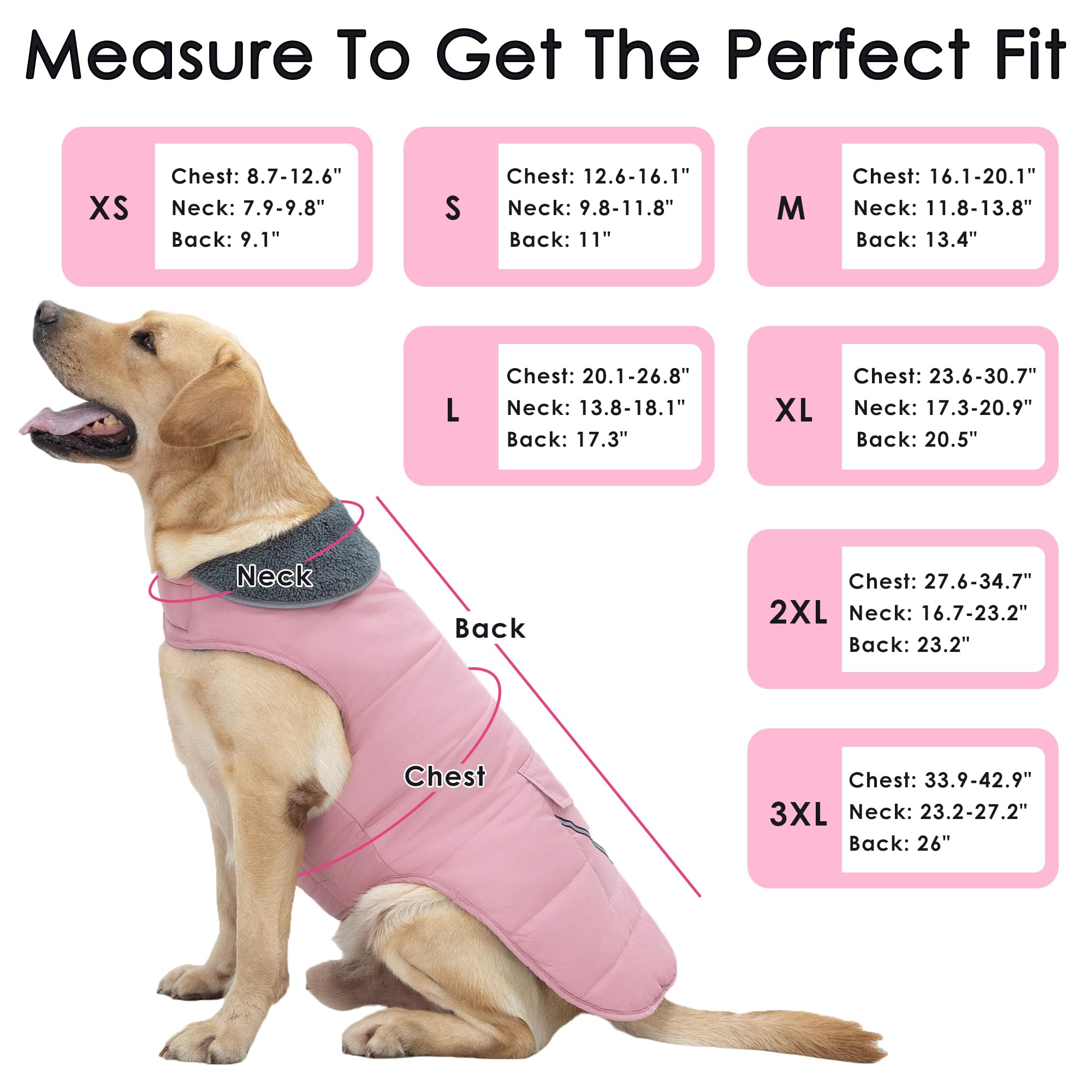Petglad Dog Coat Back Pocket adds cute storage during outings