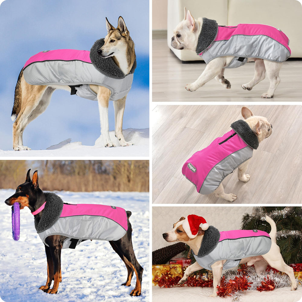 Petglad easy-buckle adjustable fit ensures snug, flexible sizing on dogs.