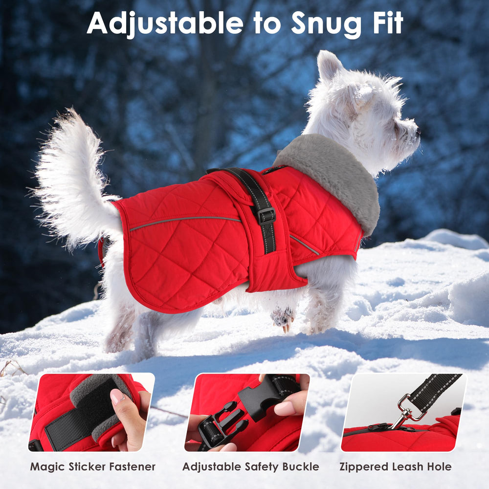 Petglad dog coat high-collar close-up shows added warmth for windy days