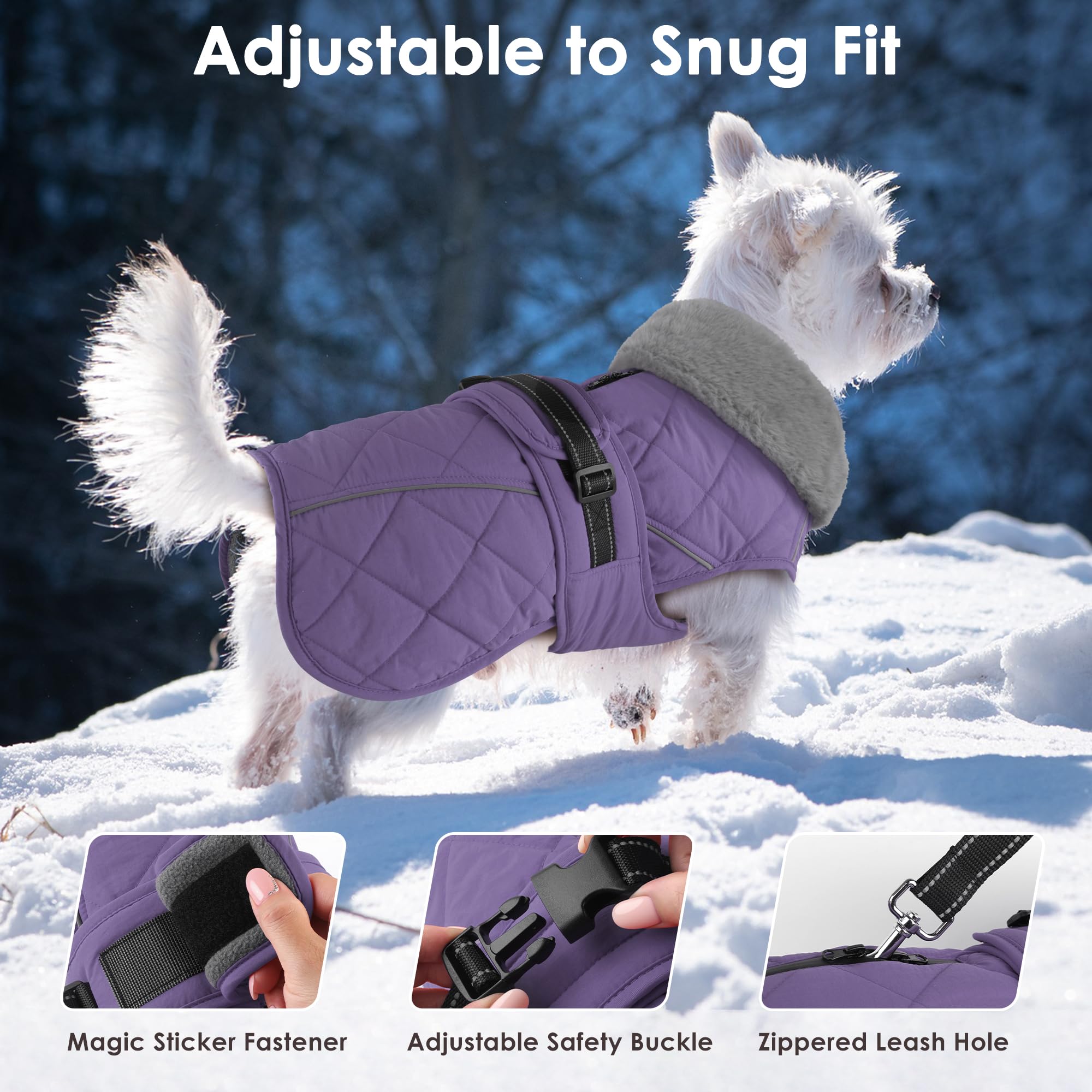 Petglad dog coat high collar adds warmth on windy days