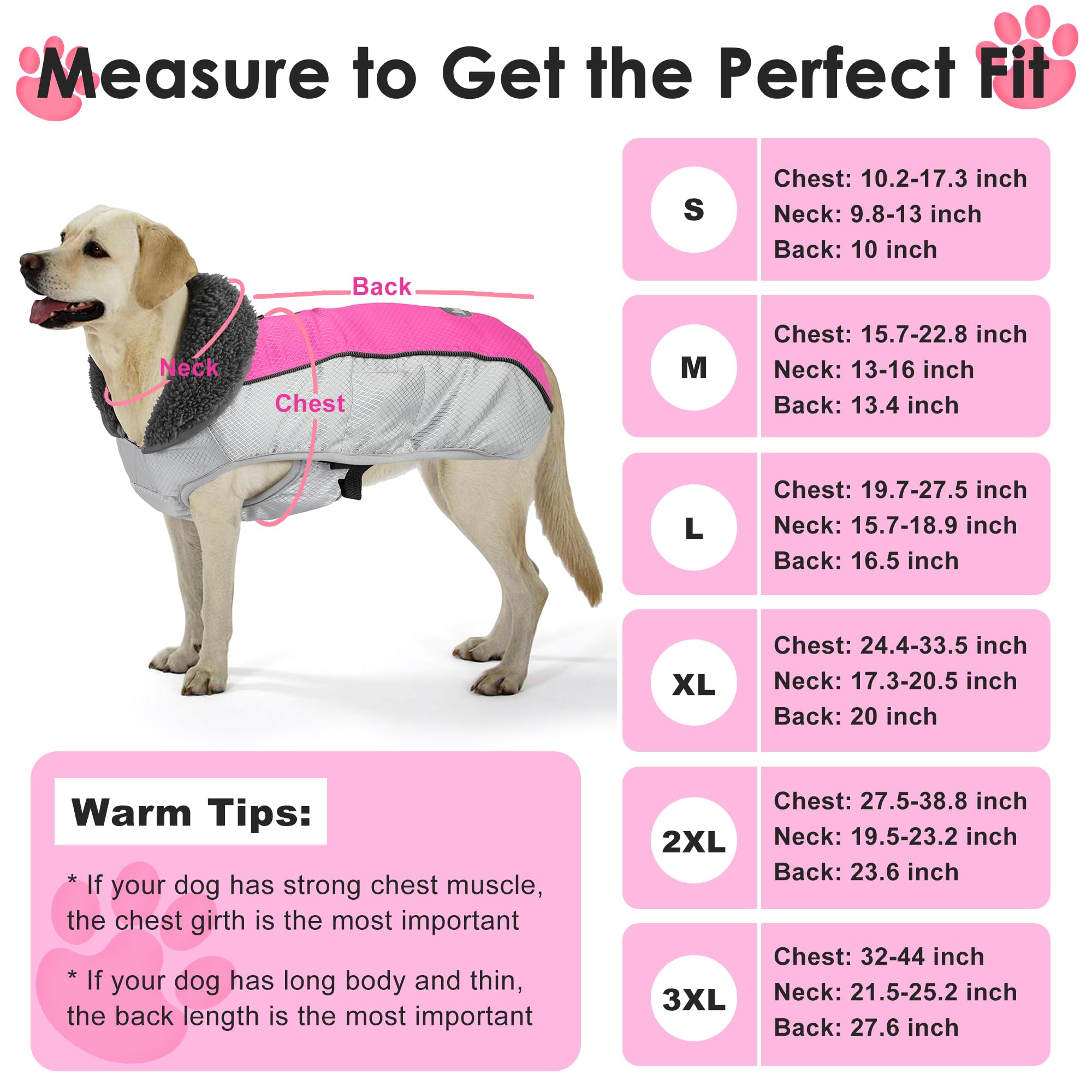Petglad leash-hole back design allows easy leash or harness attachment.