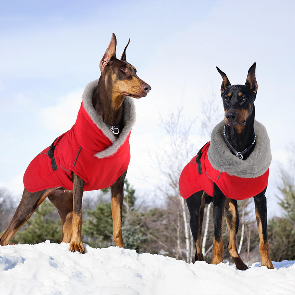 Petglad coat machine-washable red design for convenient care