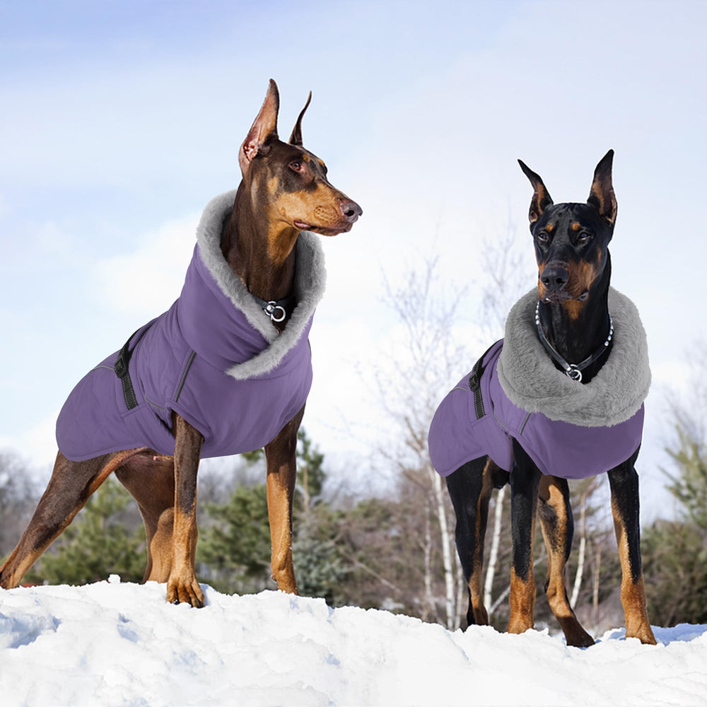 Petglad coats in six sizes support everyday wear and festive use