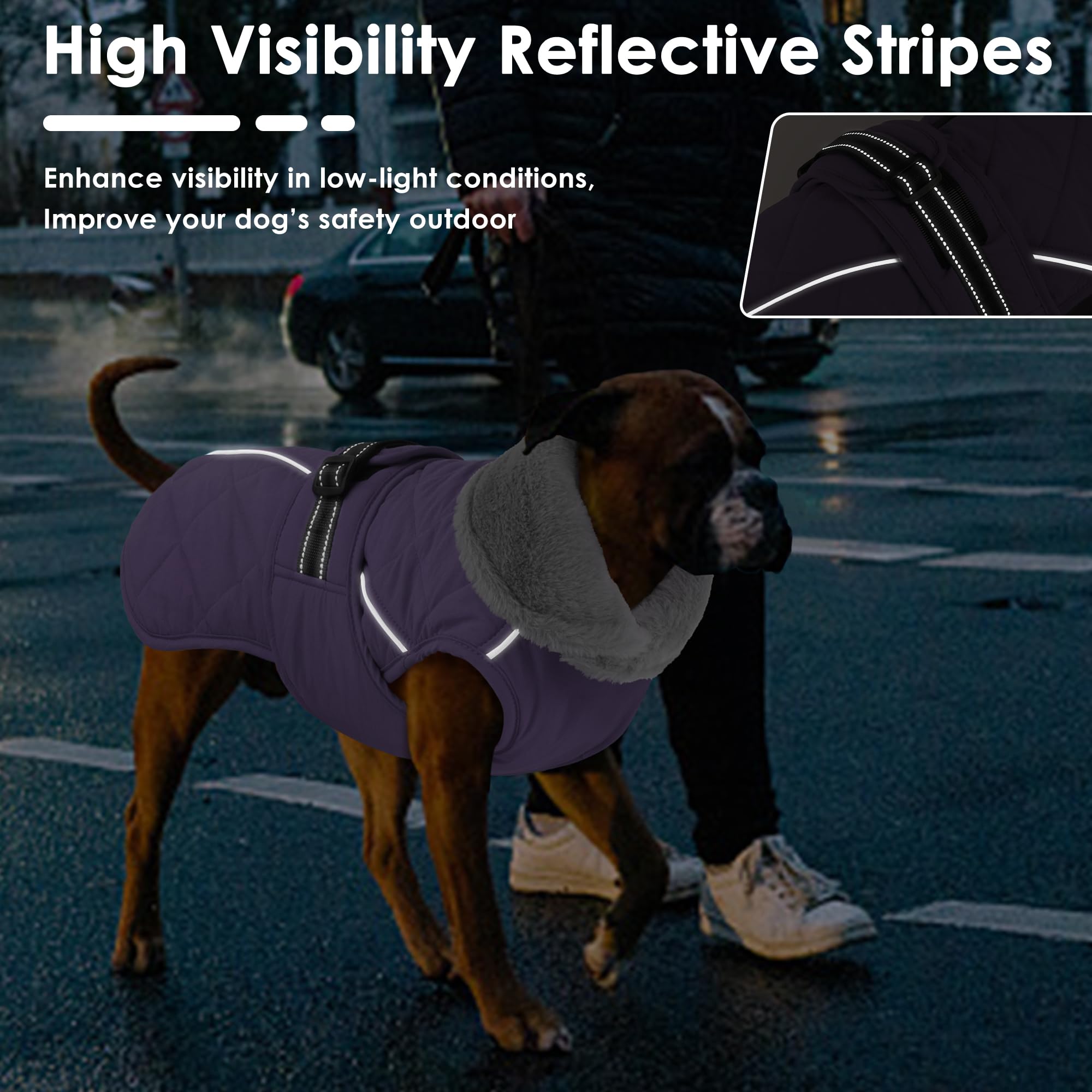 Petglad reflective vest enhances nighttime visibility during evening walks