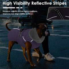 Petglad reflective vest enhances nighttime visibility during evening walks