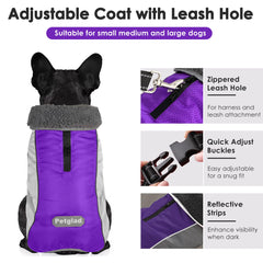 Petglad dog coat reflective stripes for safer night walks