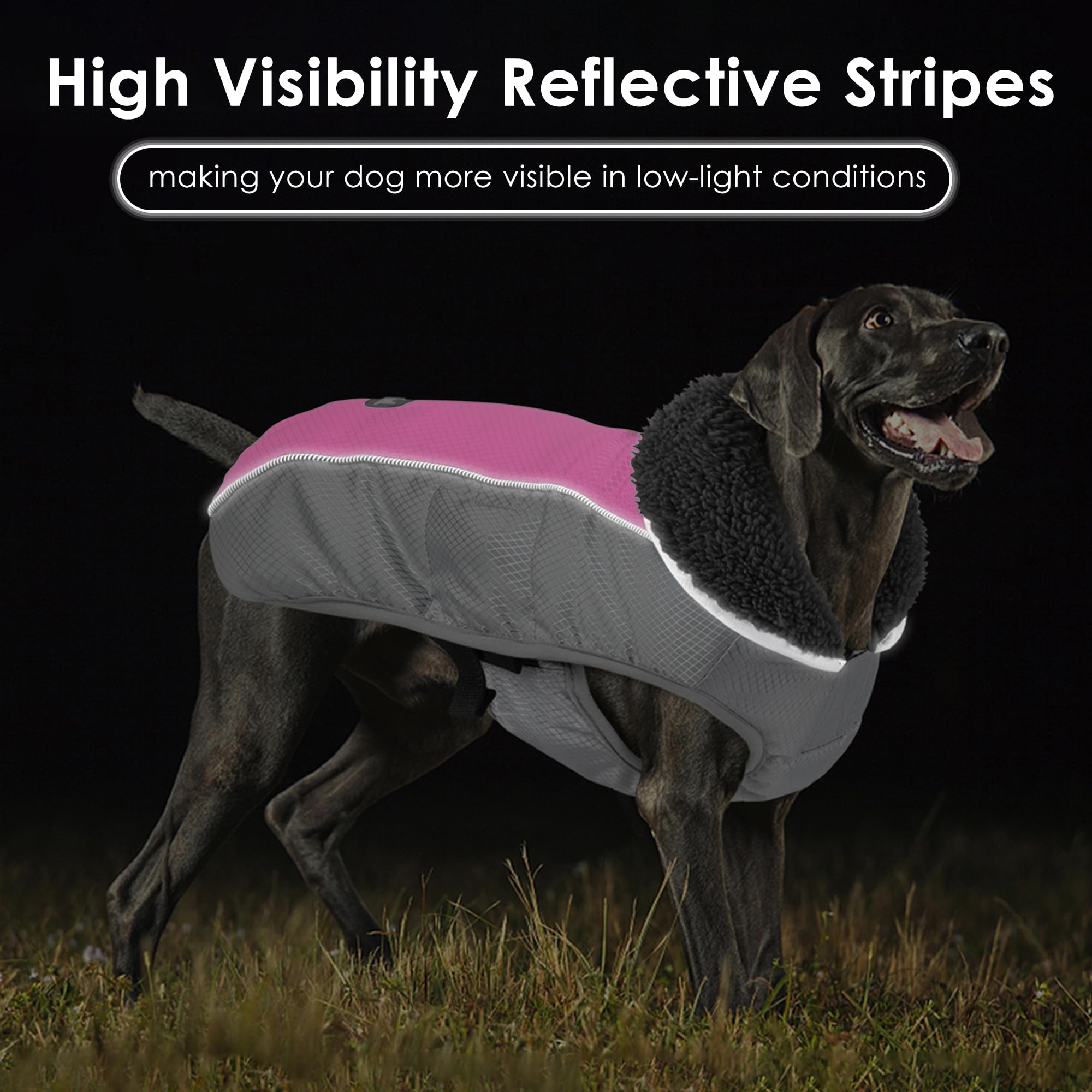 Petglad coat reflective stripes improve visibility during dusk or night walks.