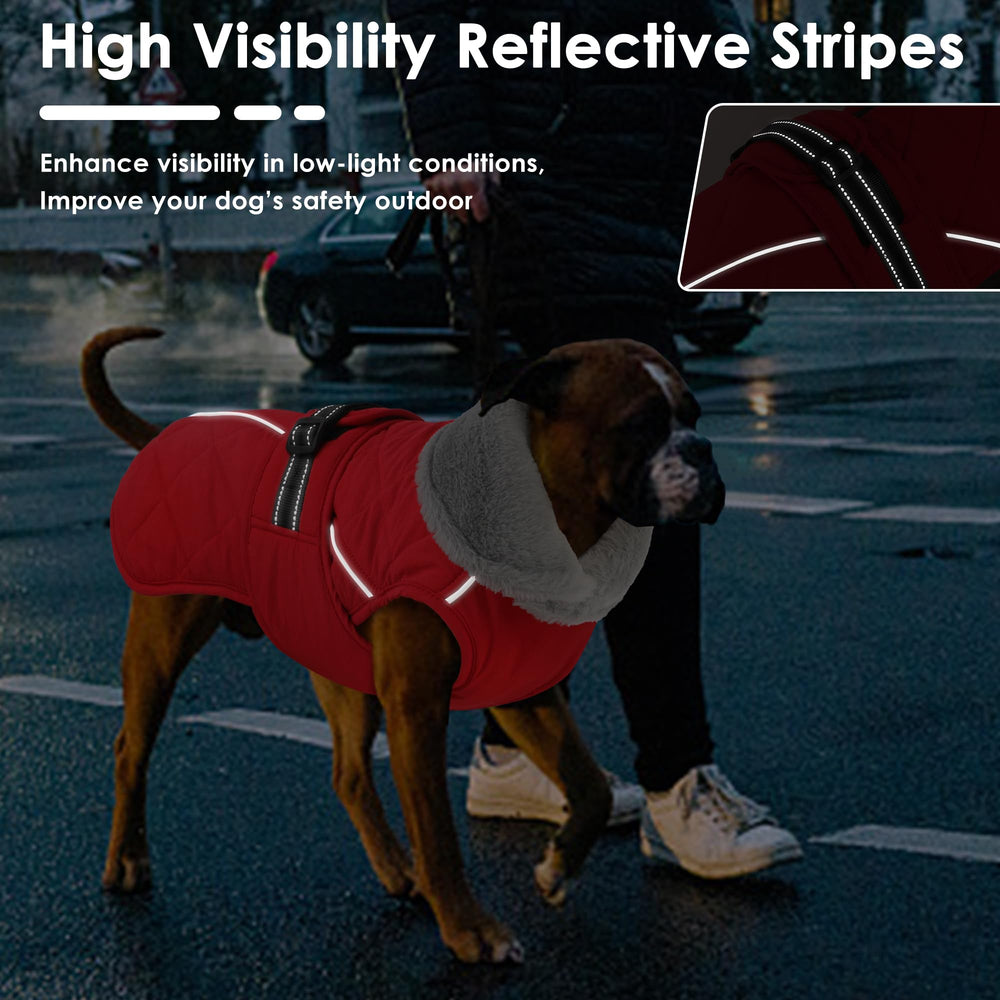 Petglad coat reflective trim in low light improves nighttime visibility