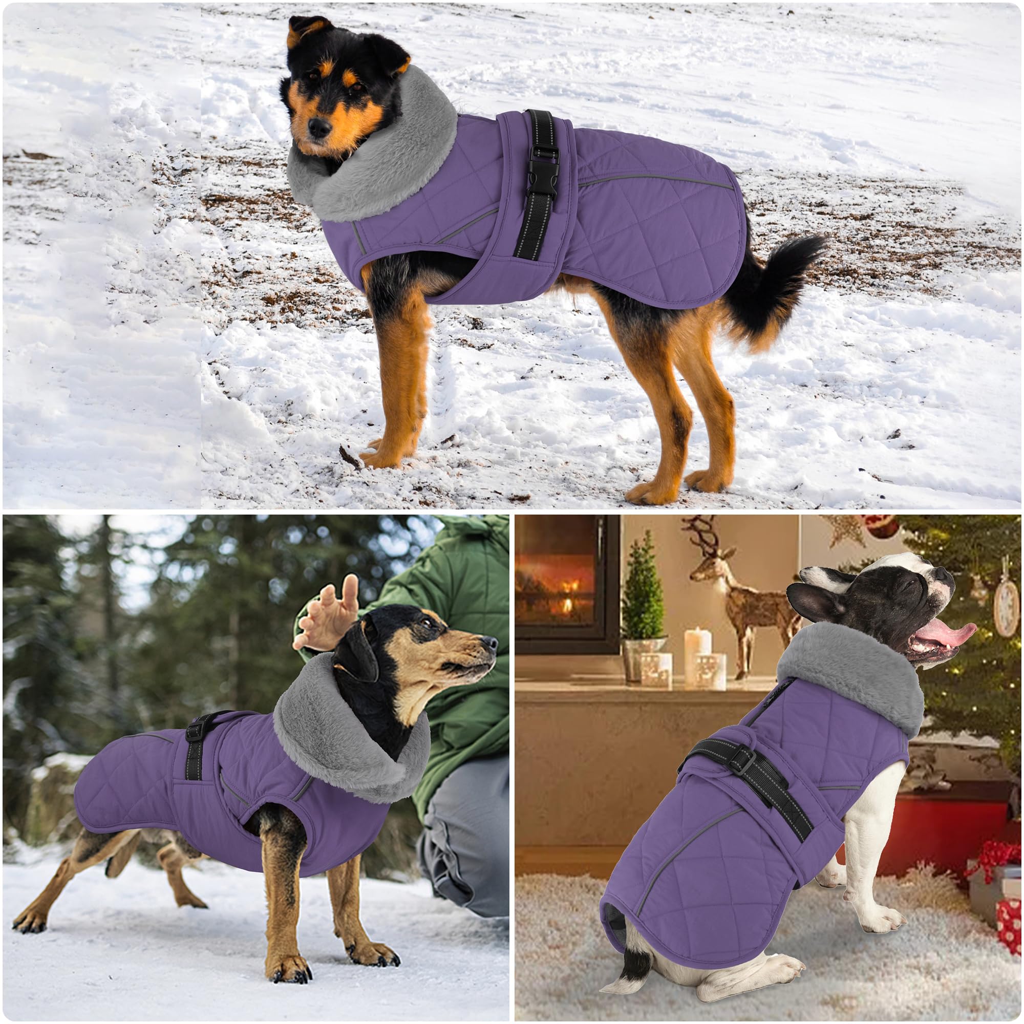 Petglad adjustable buckle ensures secure and comfortable fit