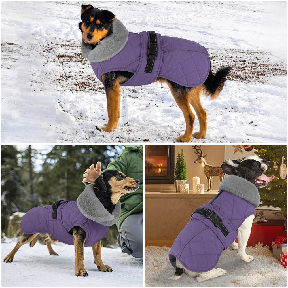 Petglad adjustable buckle ensures secure and comfortable fit