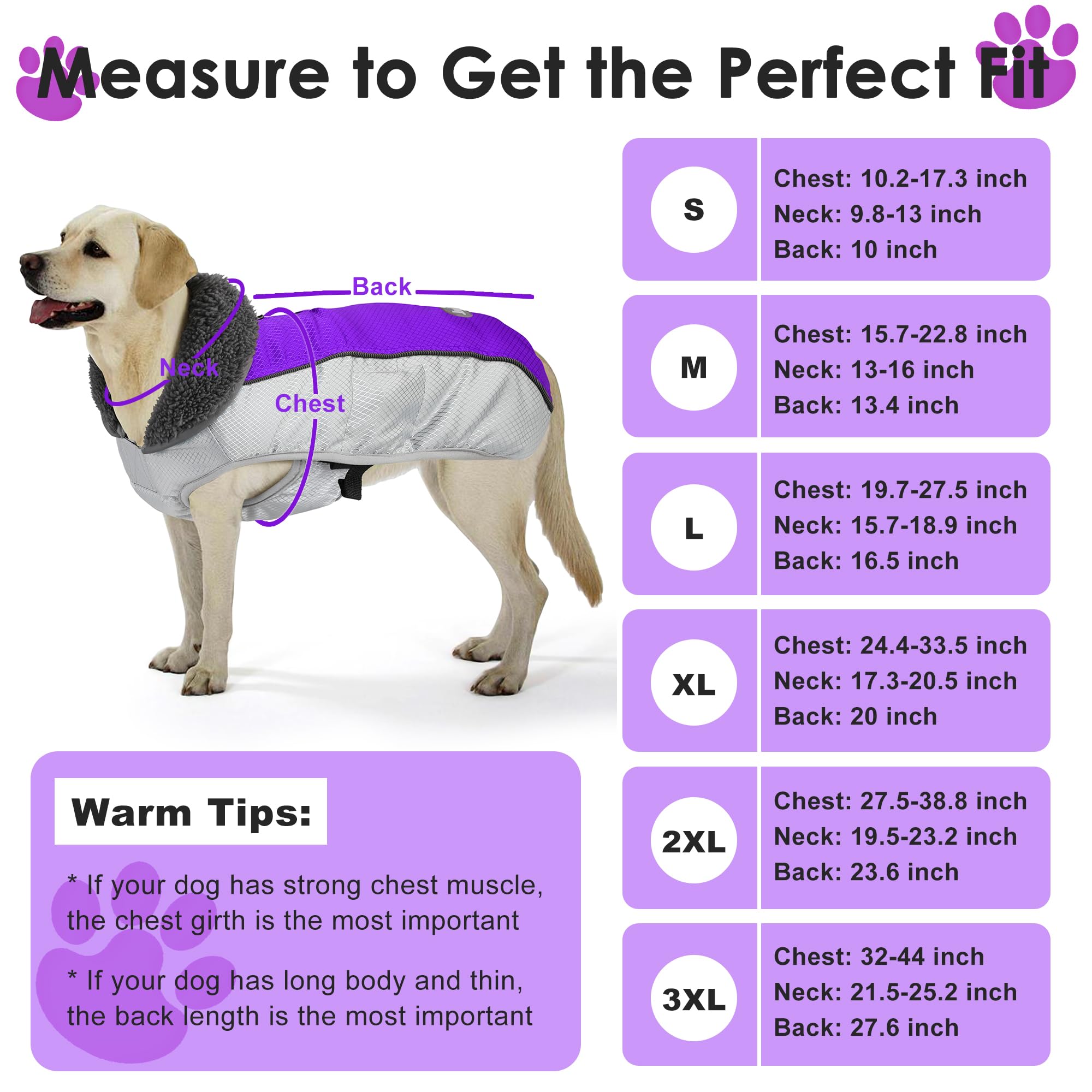 Petglad dog coat with plush collar for ear warmth