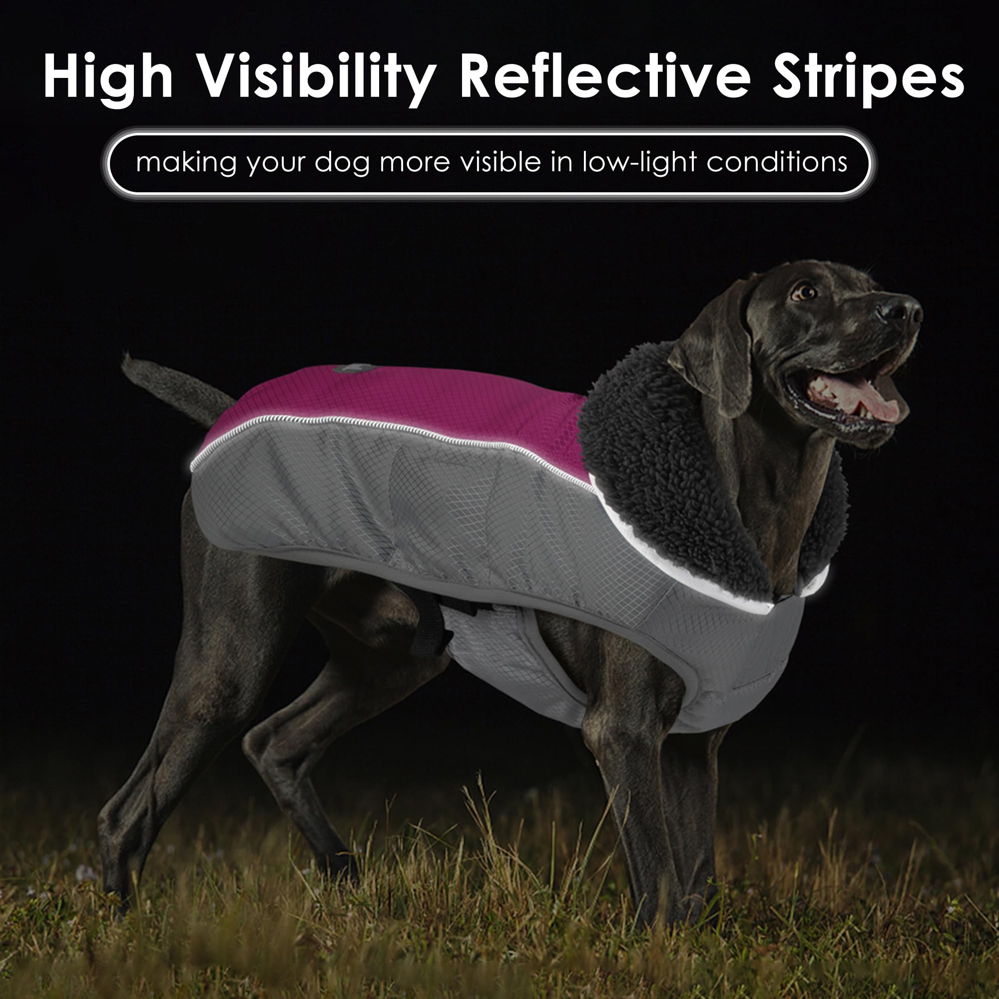 Petglad coat showing thick fleece lining; warmth retention on cold walks.