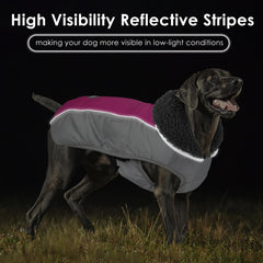 Petglad coat showing thick fleece lining; warmth retention on cold walks.