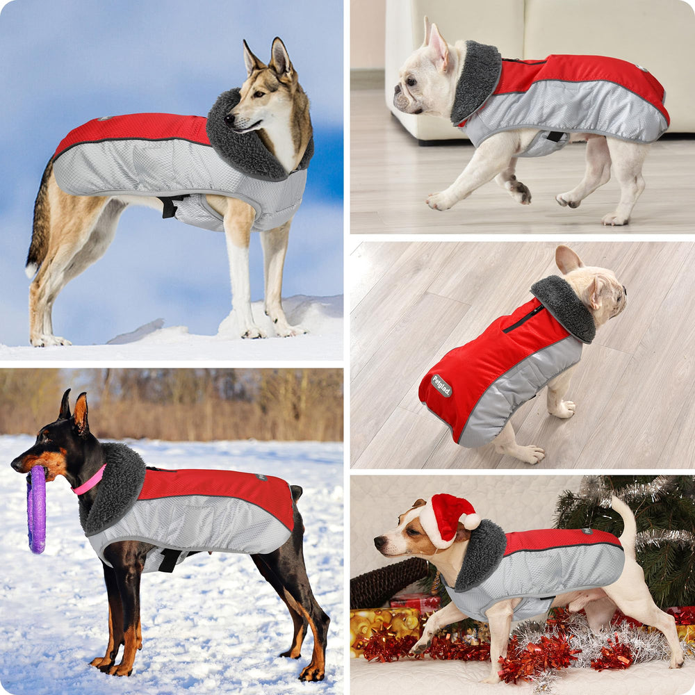 Petglad warm plush collar protects ears and adds comfort during frosty walks