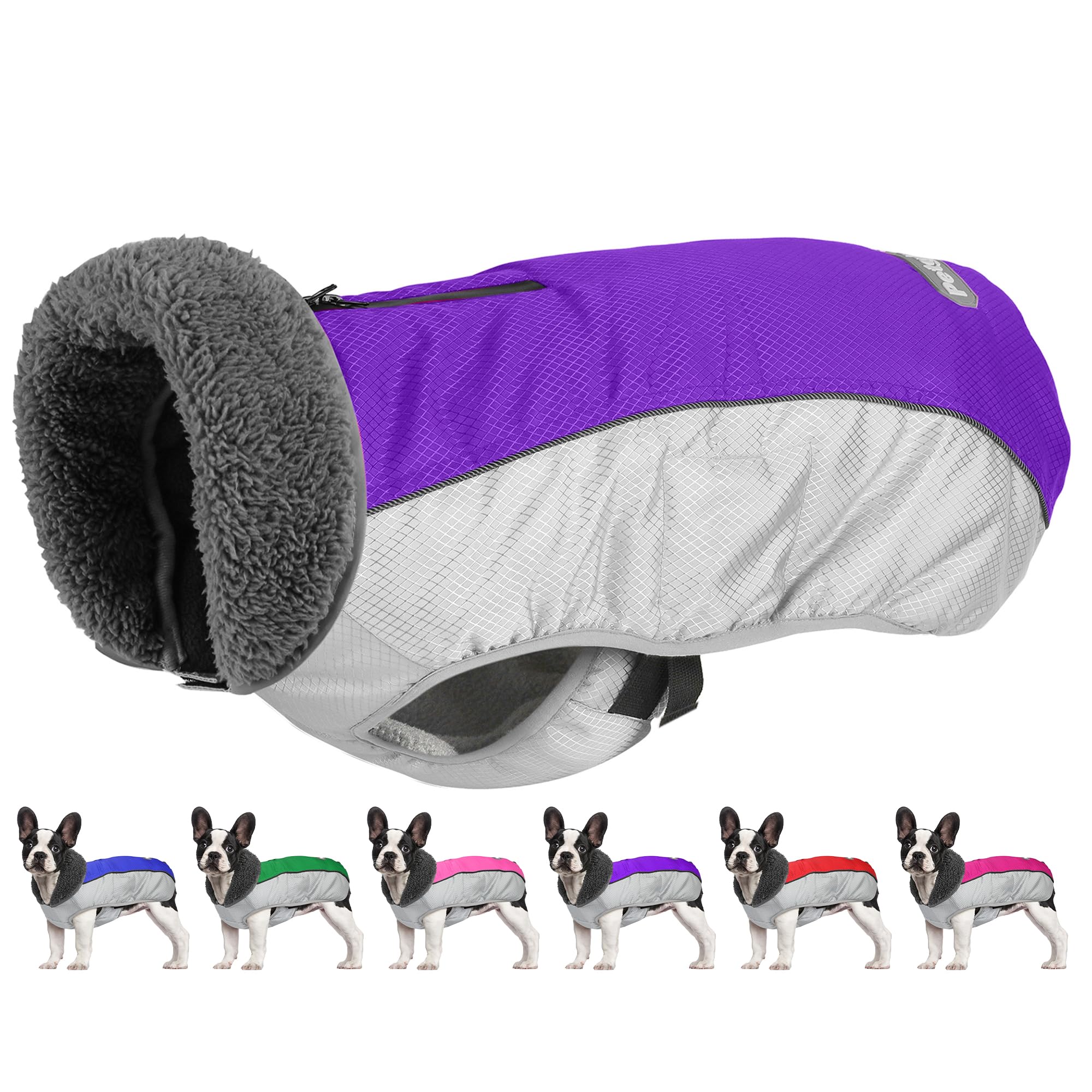 Petglad dog coat waterproof ripstop purple XL front view for dry outings