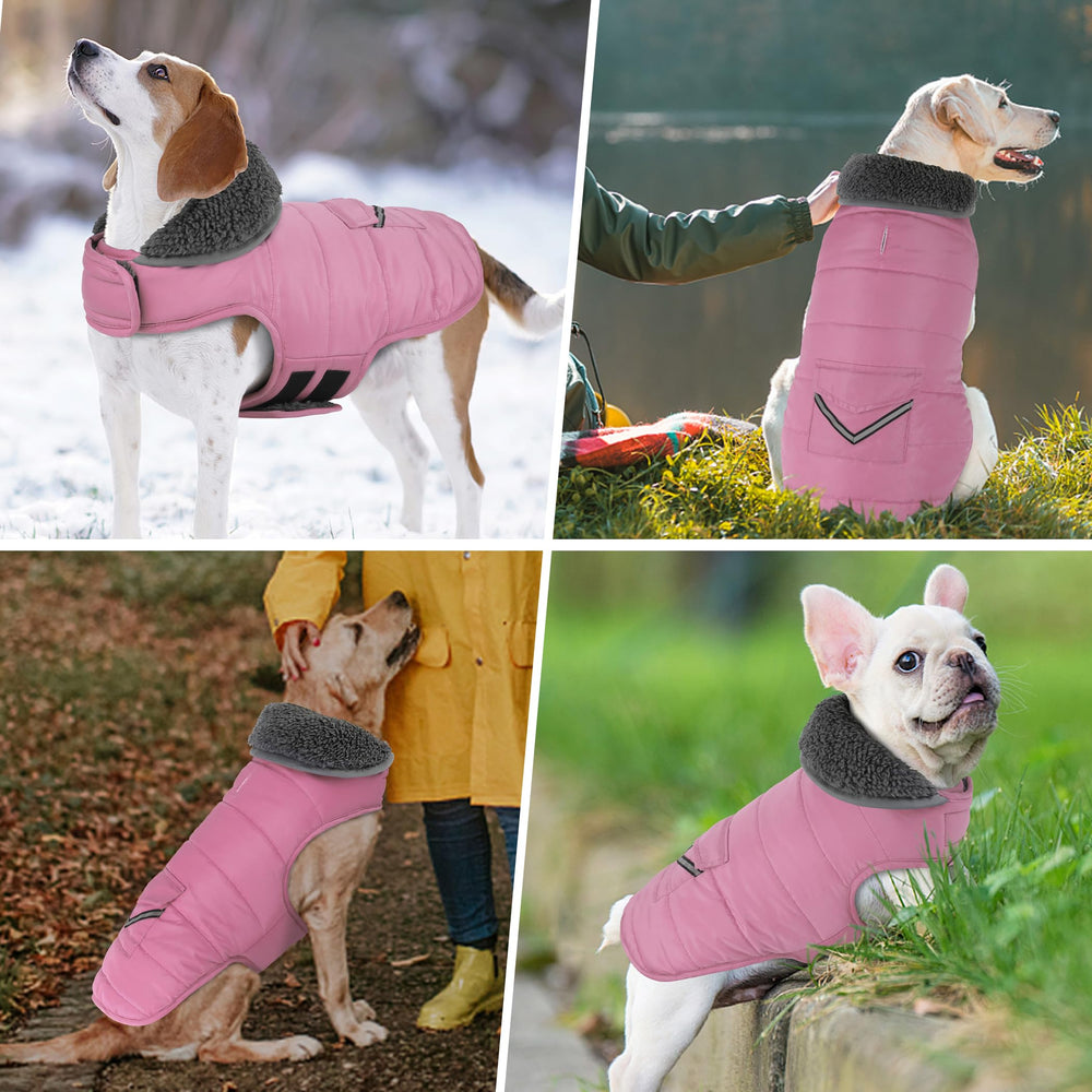 Petglad Dog Coat Windproof design shields against chilly gusts
