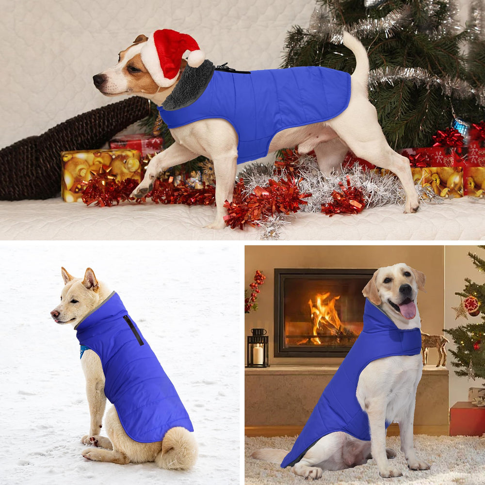 Petglad dog winter coat blue back view ready for daily adventures.