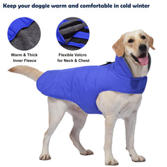 Petglad dog winter coat with leash hole demonstrates easy harness connection.