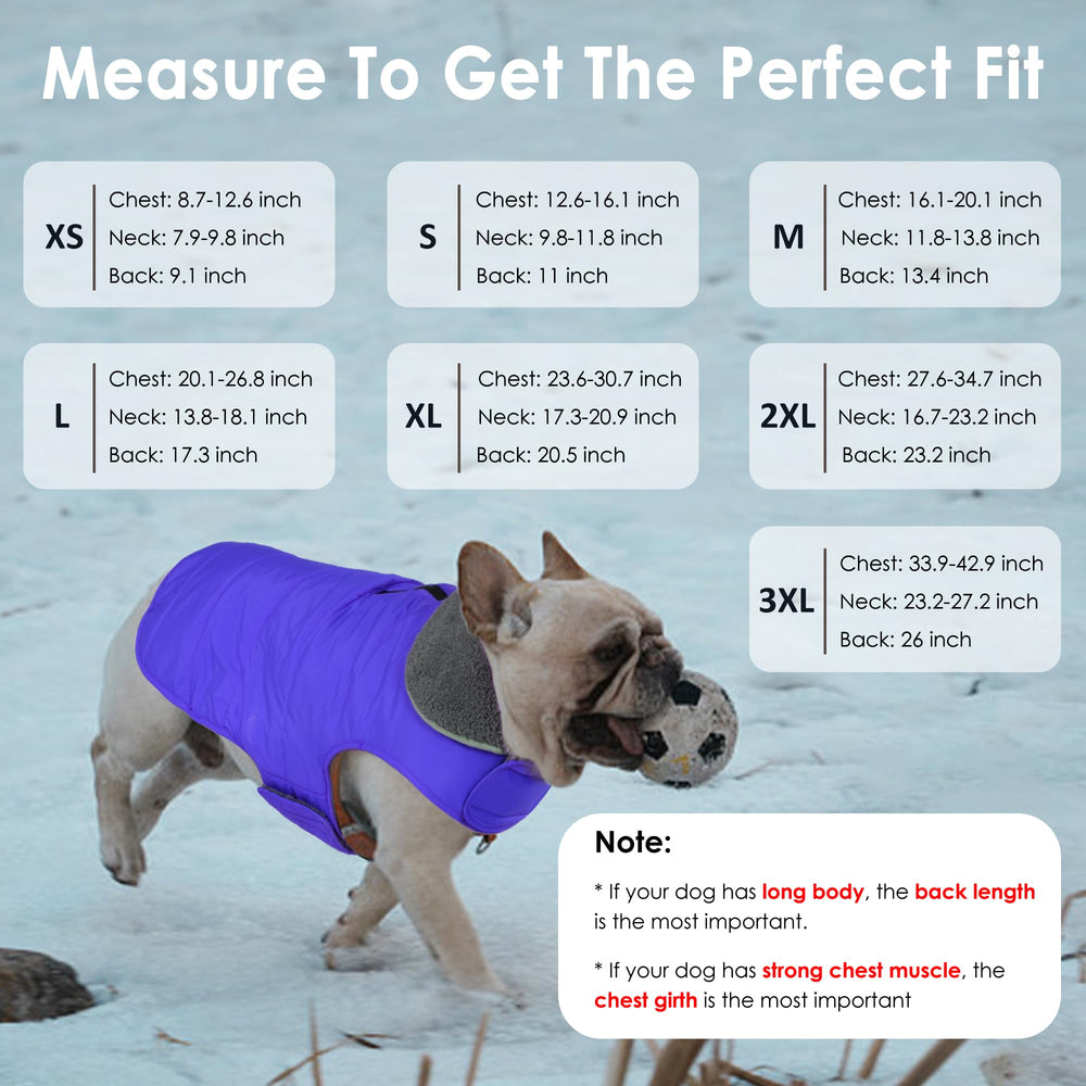 Petglad dog winter coat close-up shows adjustable high collar for ear warmth.