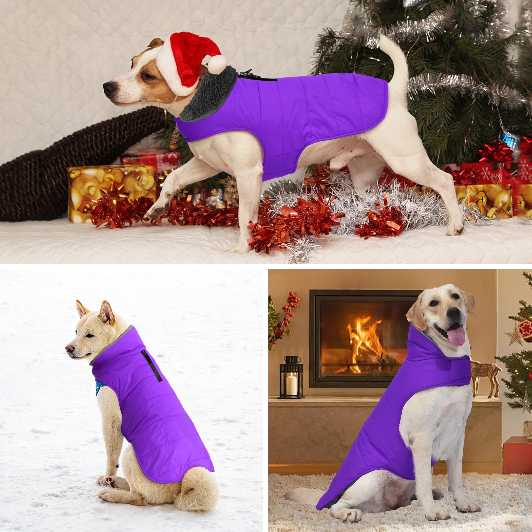 Petglad dog winter coat texture highlights water-resistant fabric and dense fleece lining