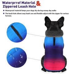 Petglad dog winter coat back view, snug fit for active cold-weather outings