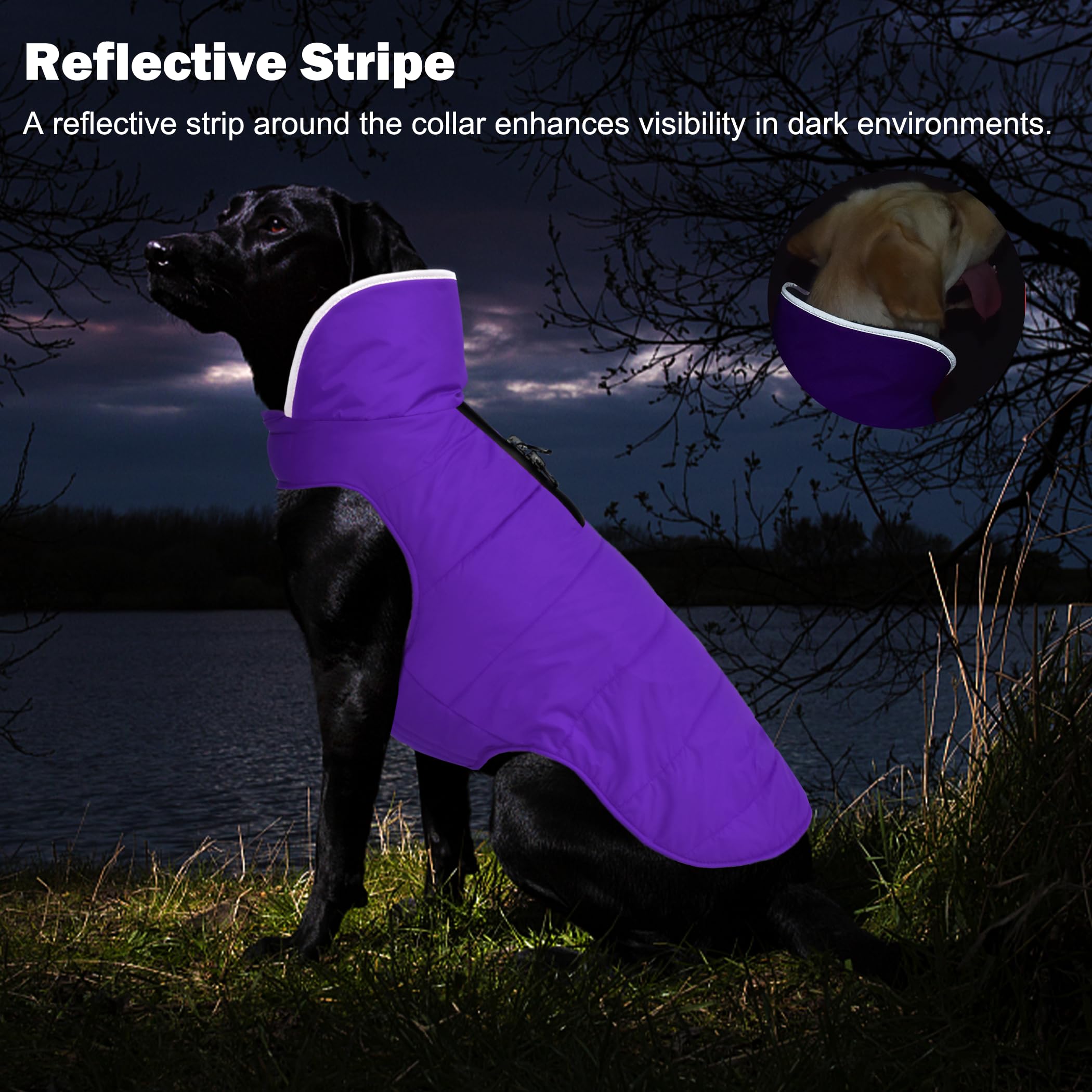 Petglad dog winter coat high collar covers ears