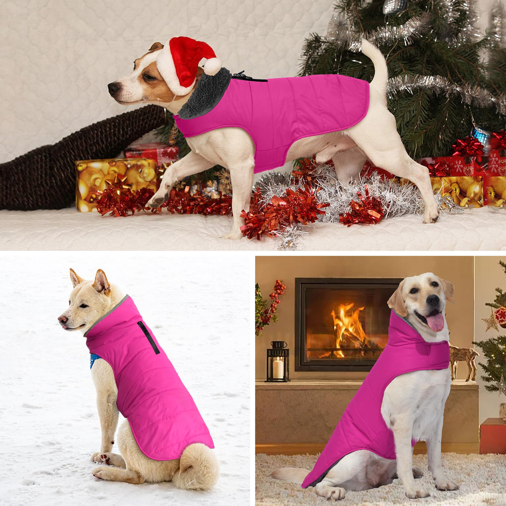 Petglad dog winter coat pink high collar closeup protecting ears