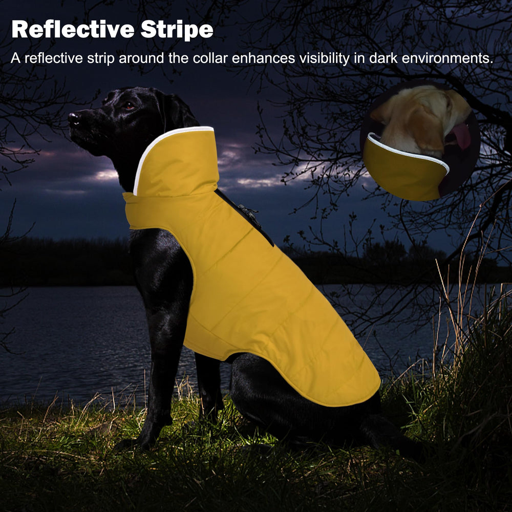 Petglad dog winter coat water-resistant fabric keeps dogs dry in damp mornings