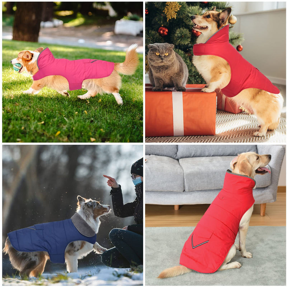 Petglad pocket detail adds cute practicality and styling for small dogs.