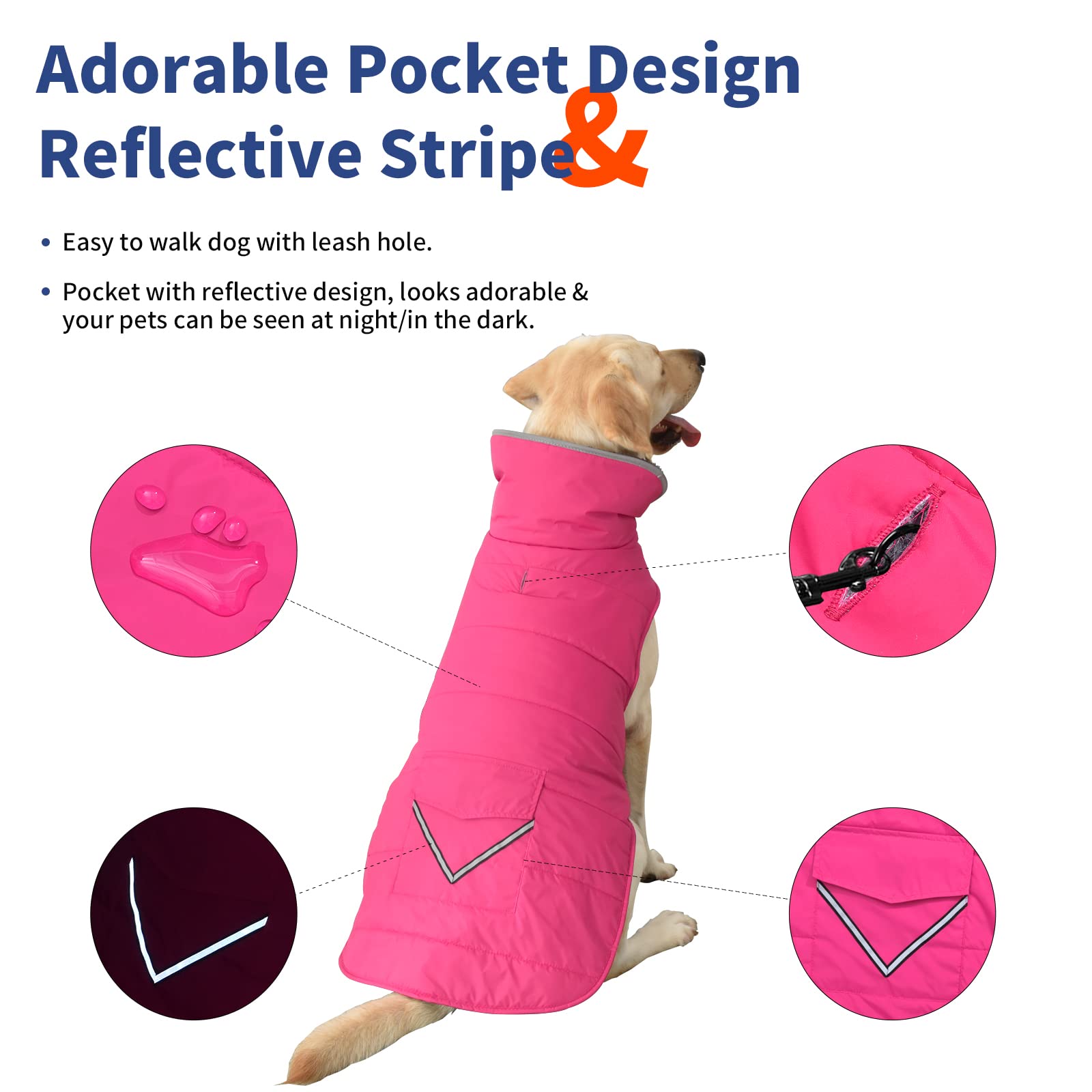 Petglad reflective stripes boost visibility for safe evening walks.