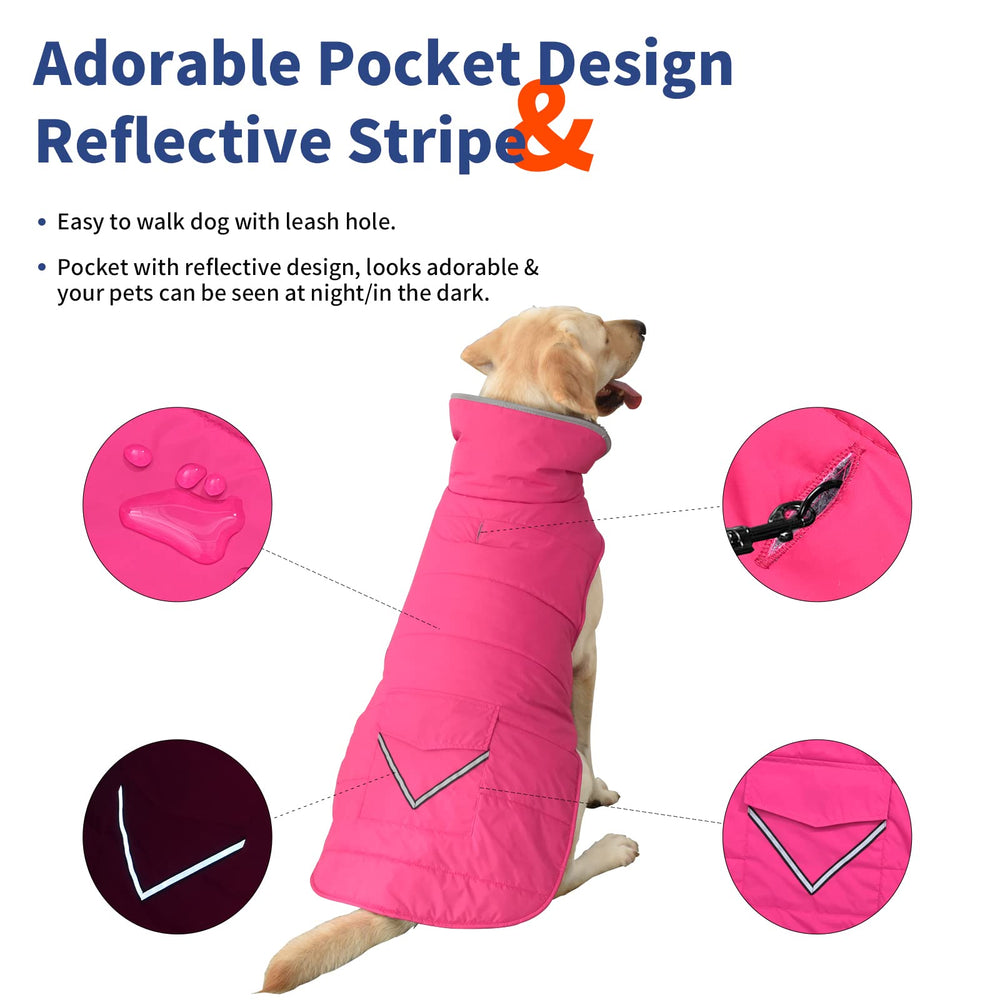 Petglad reflective stripes boost visibility for safe evening walks.
