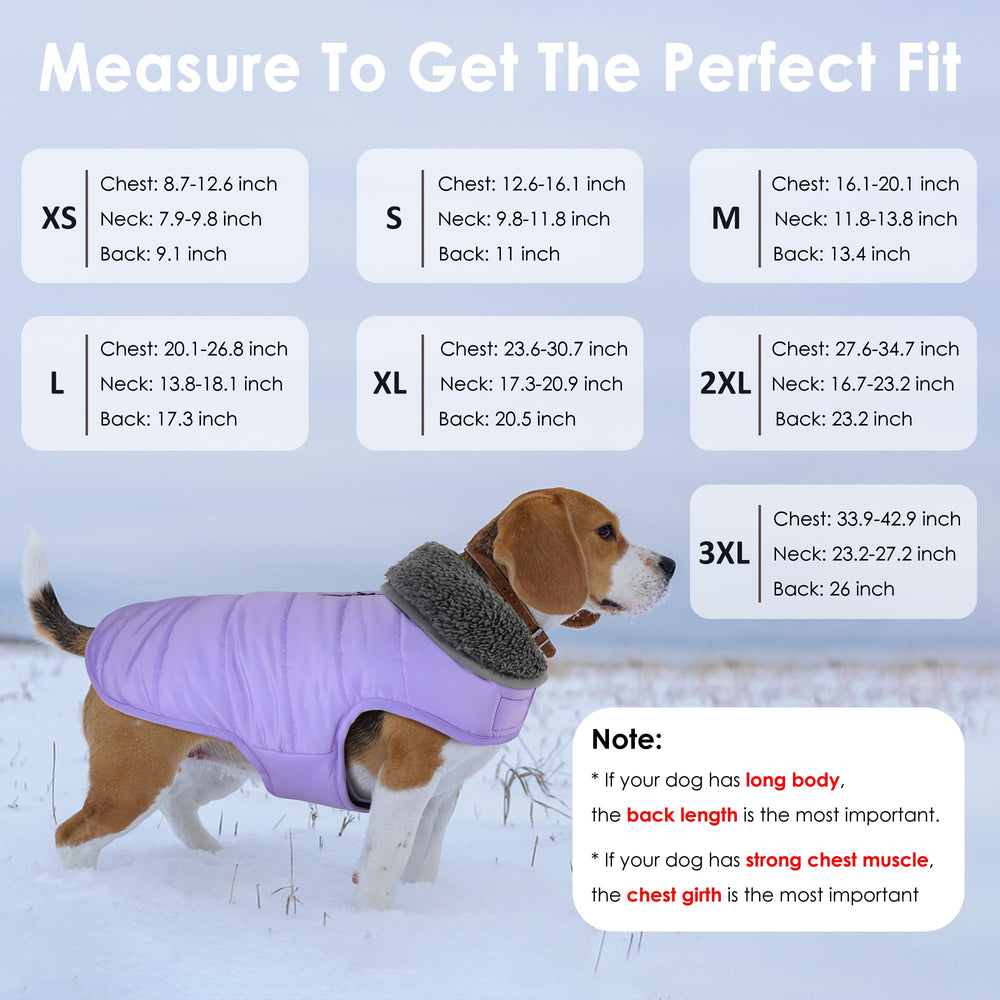Petglad reflective trim night-visibility detail for safer evening strolls