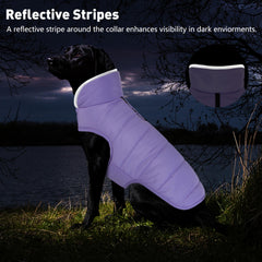Petglad warm fleece lining closeup highlighting heat retention in cold walks