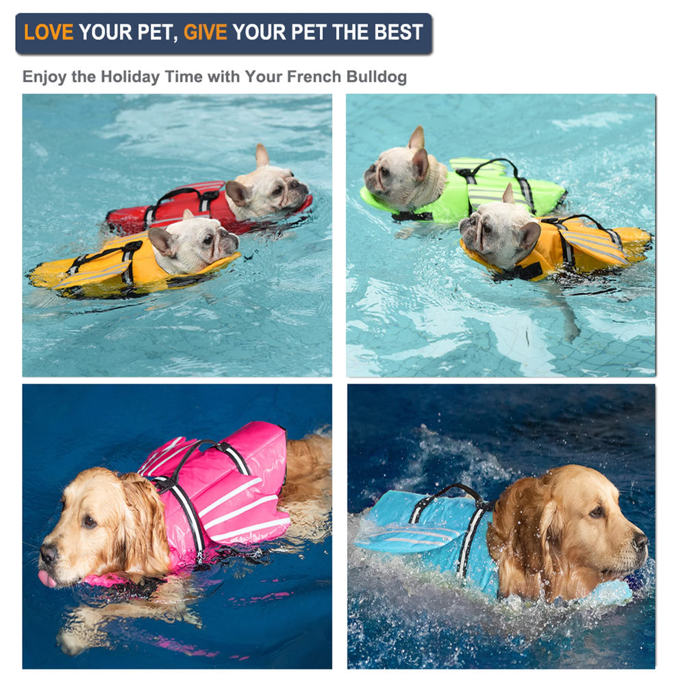 Petglad Wings D-ring leash image illustrates leash-ready safety during walks.