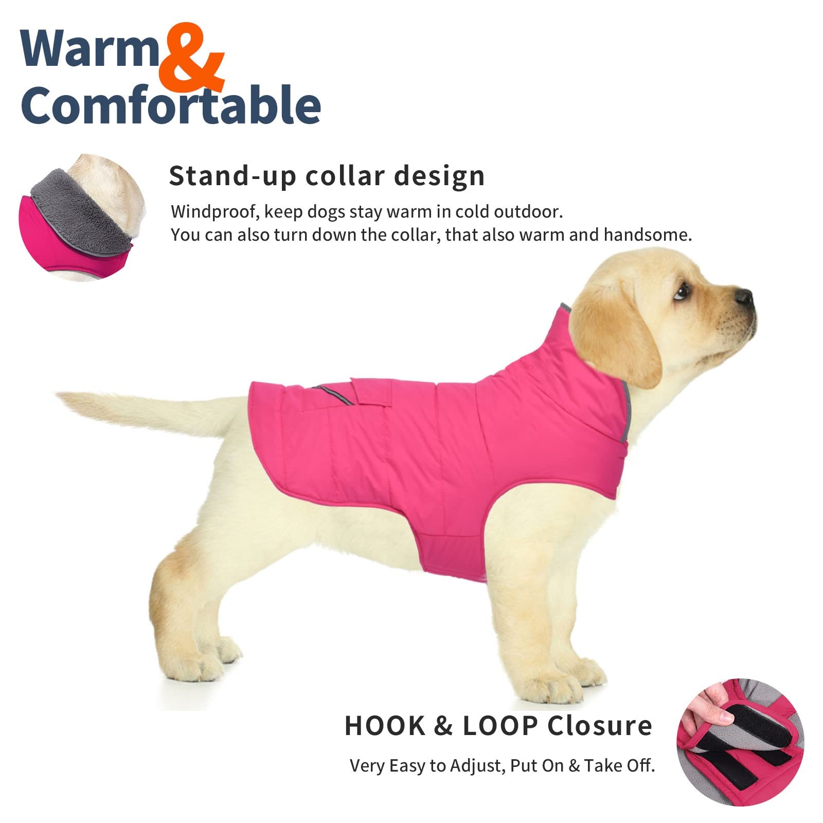 Petglad winter jacket pocket design adds space for essentials during outdoor adventures.