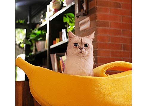 Petgrow banana cat bed exterior view highlights bright yellow color for playful home decor