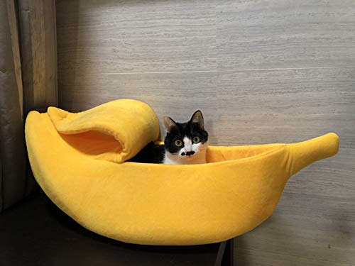 Petgrow banana cat bed size info close up communicates extra large dimensions for larger pets