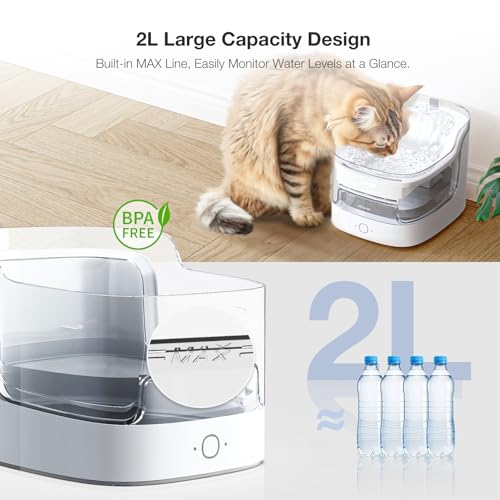 PETGUGU multi-cat recognizer view demonstrates individual intake tracking