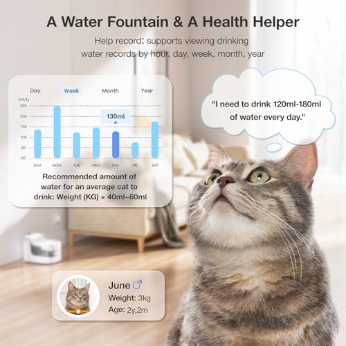 PETGUGU waterfall feature emphasizes cascading flow to encourage drinking