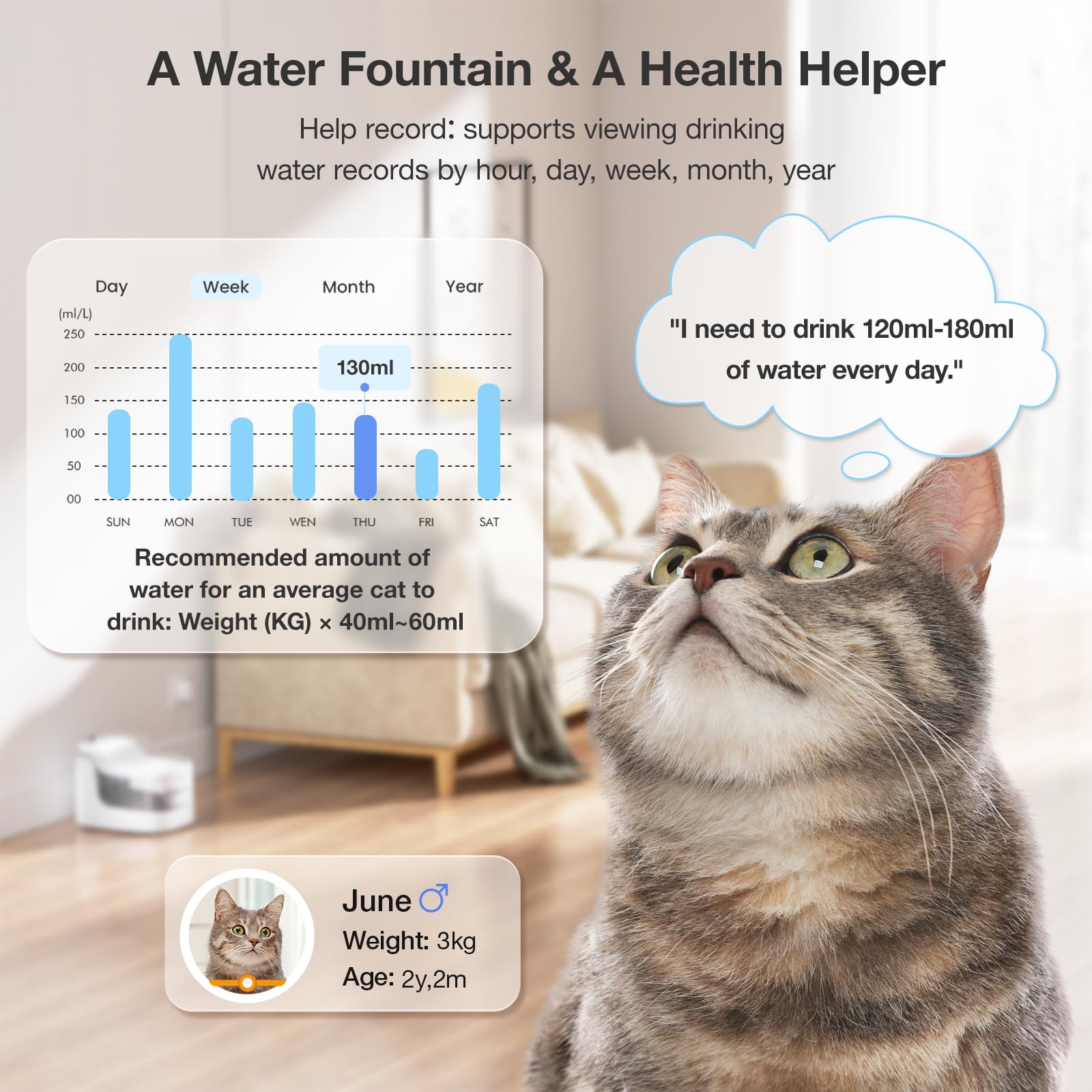 PETGUGU ultra-quiet pump operates under 20 dB for peaceful drinking