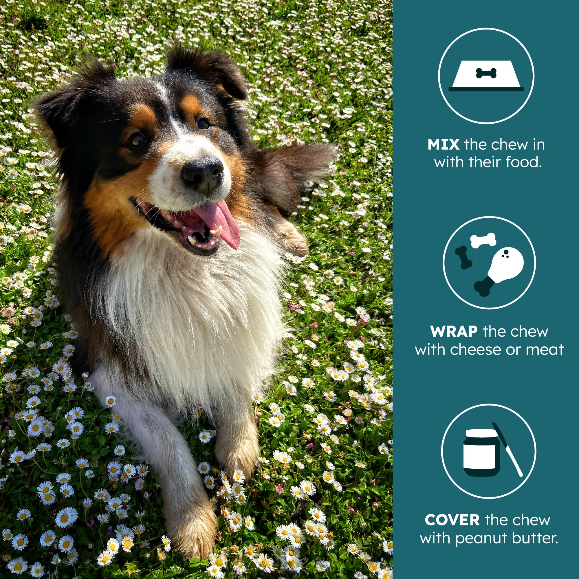 PetHeal Cancer Care Chews packaging with vet-reviewed badge for quality assurance