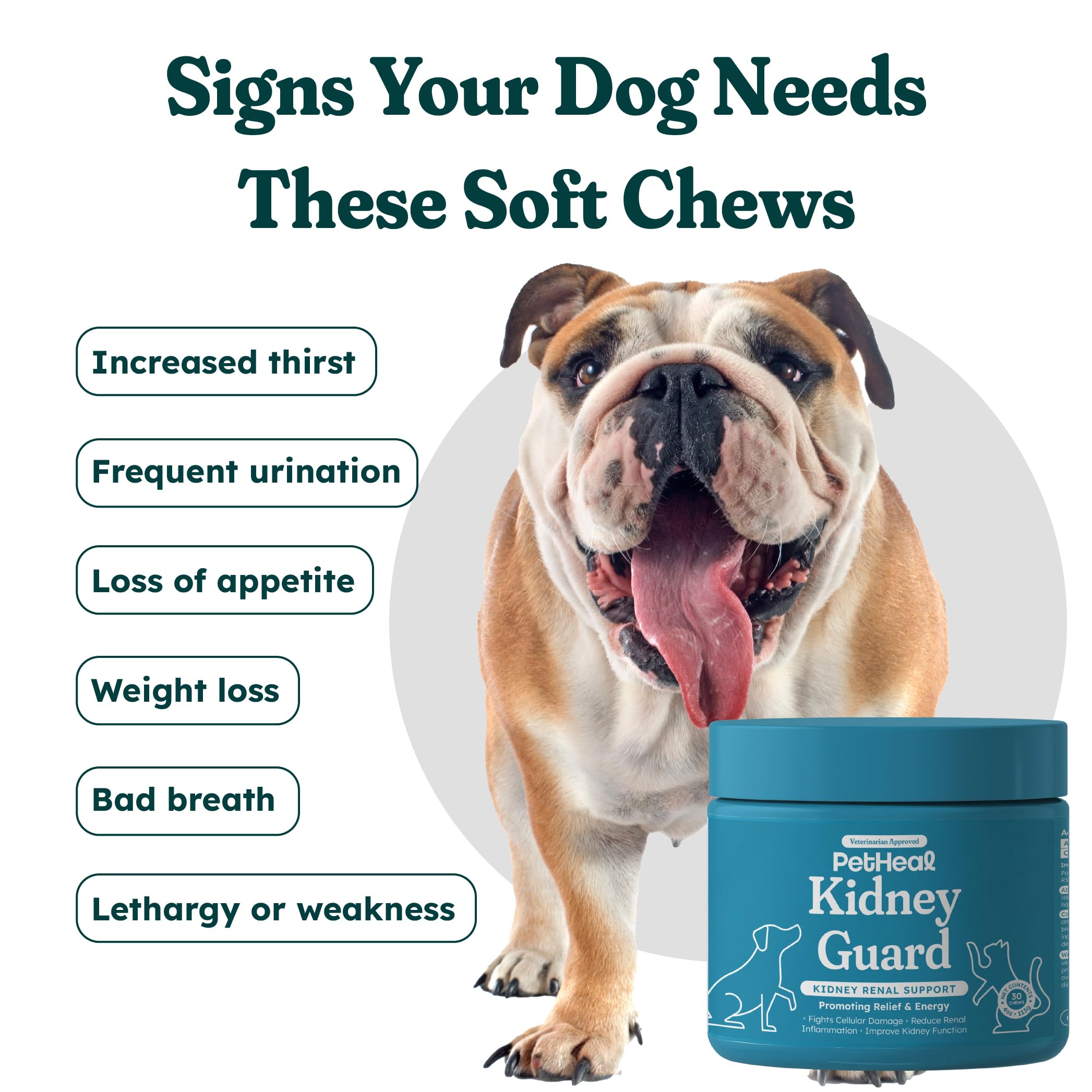 PetHeal Kidney Guard Chews dog taking a chew, easy administration for daily renal care.