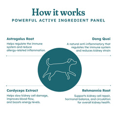 PetHeal Kidney Guard Chews ingredients label emphasizing natural herbs and detox support.