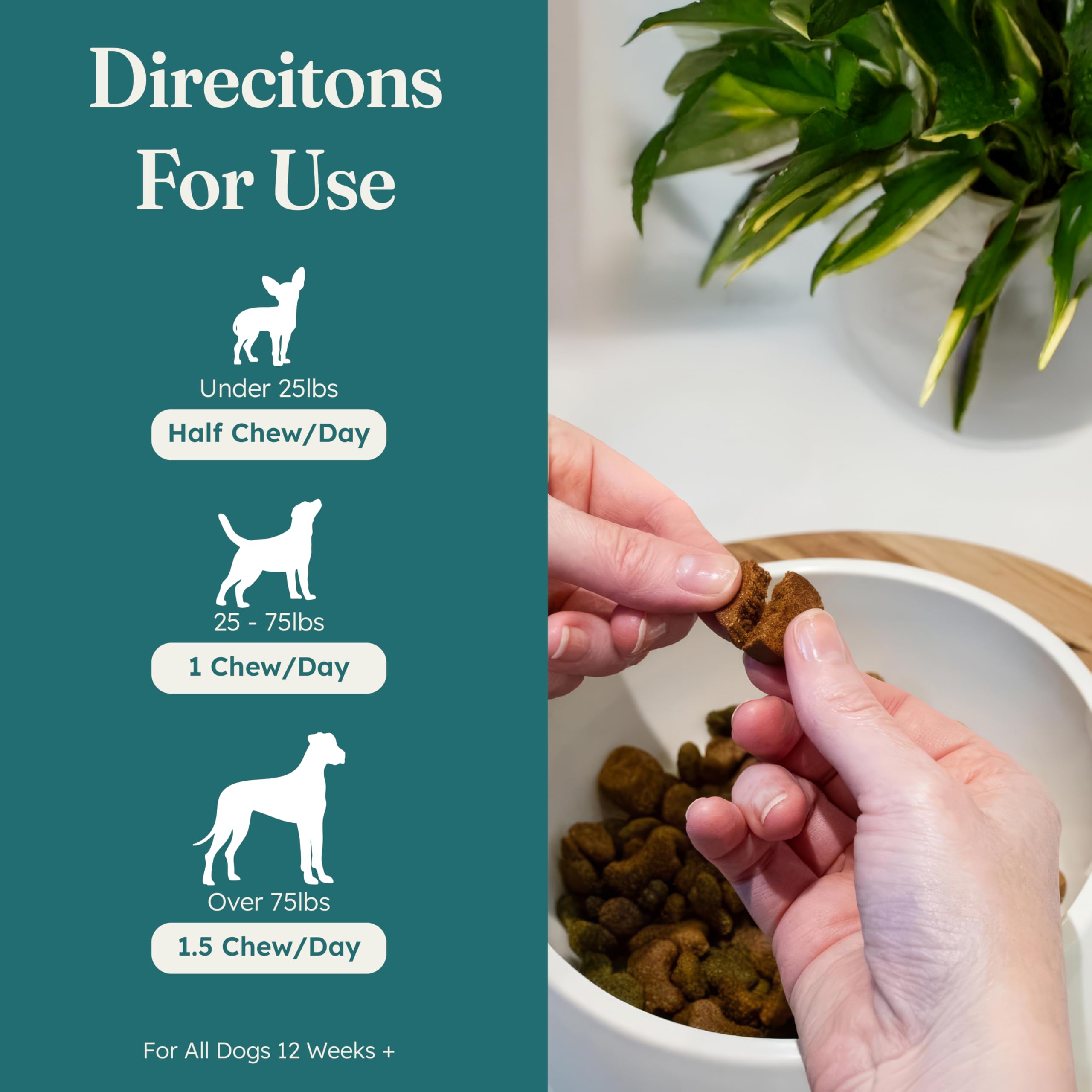 PetHeal Kidney Guard Chews soft chew texture appealing to dogs during daily routine.