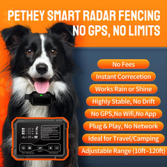 PETHEY F900 collar worn on dog demonstrates comfortable containment