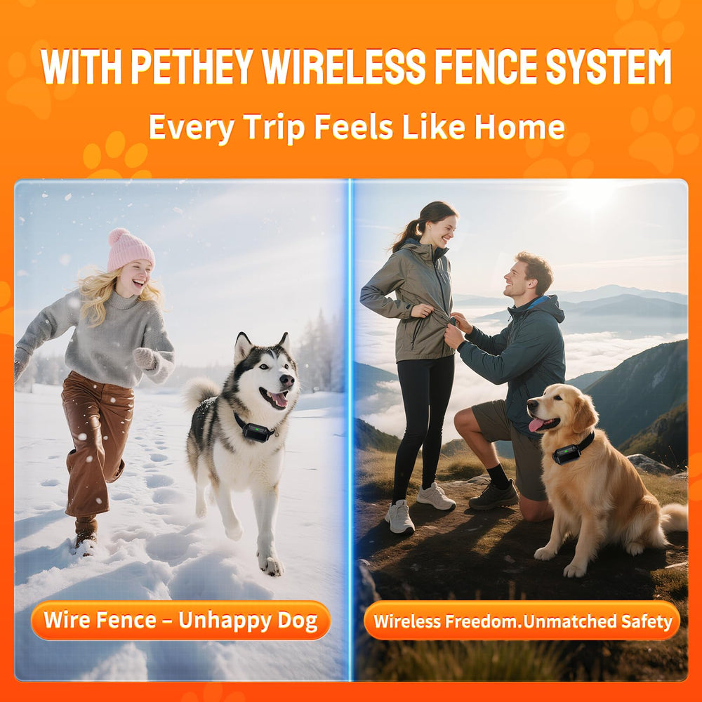 PETHEY F900 no-app setup simplifies quick boundary creation