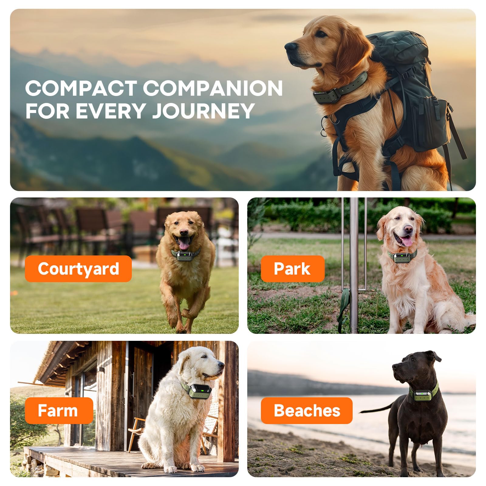 PETHEY multi-dog compatibility diagram shows up to three collars connected.