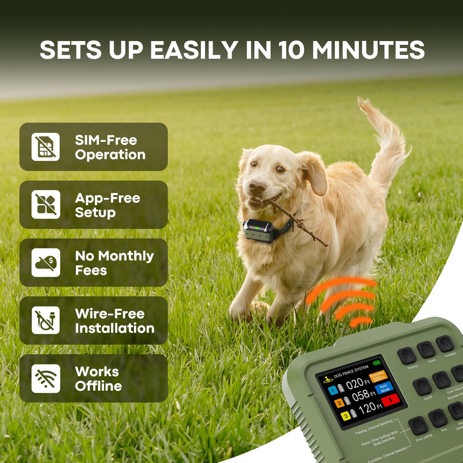 PETHEY real-time status display reveals activity, distance, and boundary status.